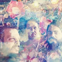 Beija Flors Velho E Sujo by São Paulo Underground