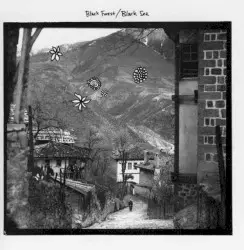 Black Forest/Black Sea by Black Forest/Black Sea