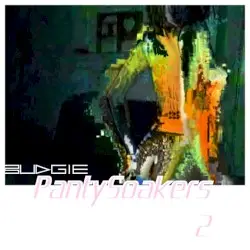 Panty Soakers 2 by Budgie