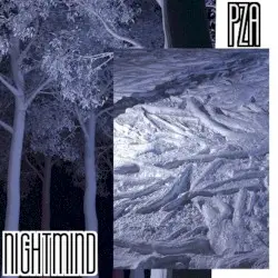 NIGHTMIND by PZA
