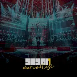 SAYGI1 by mor ve ötesi