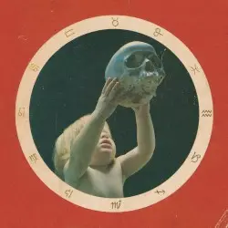 Clairvoyant by State Faults