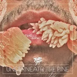 Underneath the Pine by Toro y Moi