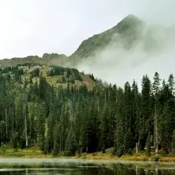 Evergreen Refuge by Evergreen Refuge