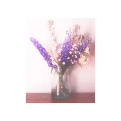 I Love You by Sadness