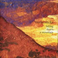Falling Down a Mountain by Tindersticks