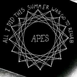 All I Did This Summer Was Go to Rehab by Apes of the State