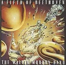 A Fifth of Beethoven by The Walter Murphy Band