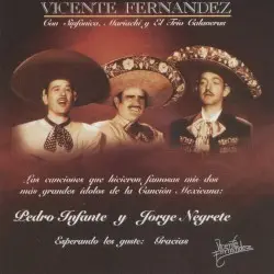 El charro mexicano by Vicente Fernández