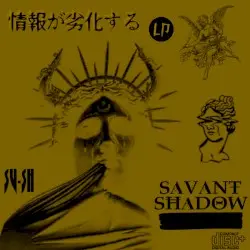 情報が劣化する LP by savant shadow