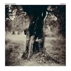 Anemoia by Fragile Figures