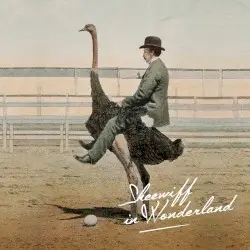 Skeewiff In Wonderland by Skeewiff