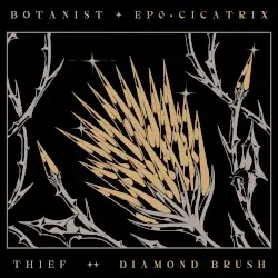 EP0: Cicatrix / Diamond Brush by Botanist & Thief
