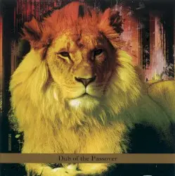 Dub of the Passover by David Solid Gould vs Bill Laswell