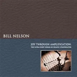 Joy Through Amplification (The Ultra-Fuzzy World of Priapus Stratocaster) by Bill Nelson