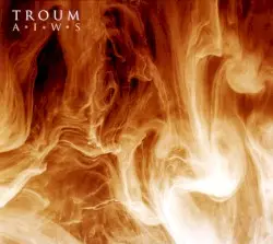 AIWS by Troum