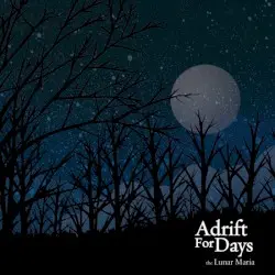 The Lunar Maria by Adrift for Days