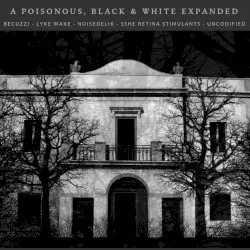 A Poisonous, Black & White Iridescence Across Dangerously Amorphous Urban Landscapes by Becuzzi - Lyke Wake - Noisedelik - Sshe Retina Stimulants - Uncodified