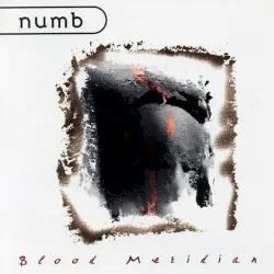 Blood Meridian by Numb
