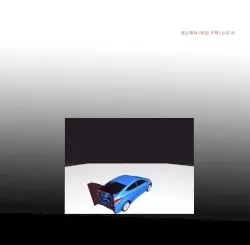 Burning Prius ® by James Ferraro