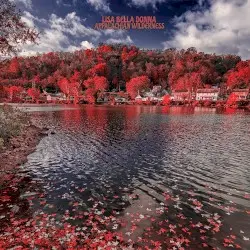 Appalachian Wilderness by Lisa Bella Donna