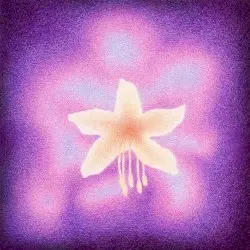 Teardrop Star by Briana Marela