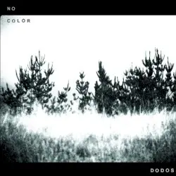 No Color by The Dodos