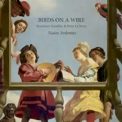 Nuées ardentes by Birds on a Wire
