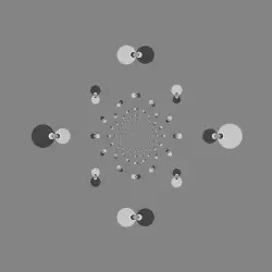 Continuo V-VIII by Earlyguard