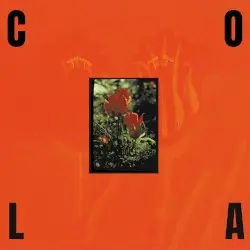 The Gloss by Cola