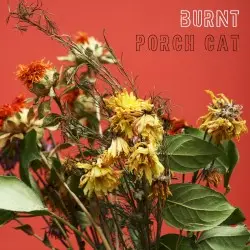 Burnt by Porch Cat