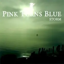 Storm by Pink Turns Blue