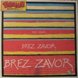 Brez zavor by Tomaž Domicelj