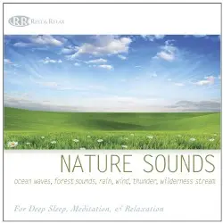 Nature Sounds: Ocean Waves, Forest Sounds, Rain, Wind, Thunder, Wilderness Stream by Bradley Joseph