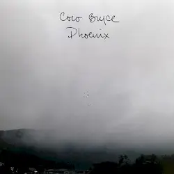 Phoenix by Coco Bryce