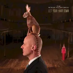 Let Your Hair Down by Steve Miller Band