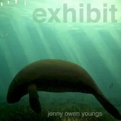 Exhibit by Jenny Owen Youngs
