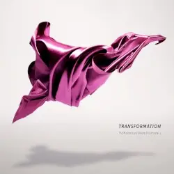 Transformation by Mohammad Reza Mortazavi