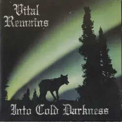 Into Cold Darkness by Vital Remains