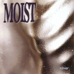 Silver by Moist