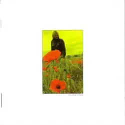 In the Poppy Fields: Five (Coming Home) by The Alarm