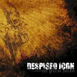 The Healing Process by Despised Icon
