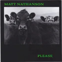 Please by Matt Nathanson