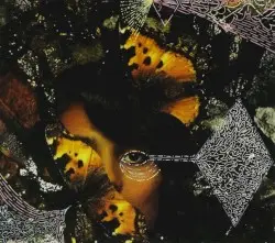 Golden Pollen by Savath & Savalas