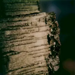 Vigil (live from La Berceuse) by Benoît Pioulard