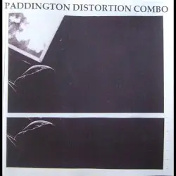 Please Don't Confront Me With My Failures, I Have Not Forgotten Them by Paddington Distortion Combo
