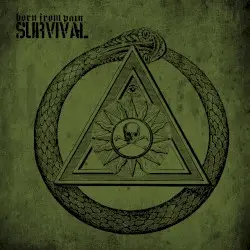 Survival by Born From Pain