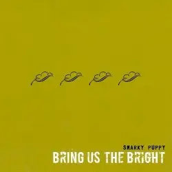 Bring Us the Bright by Snarky Puppy