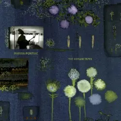 The Asylum Tapes by Marvin Pontiac