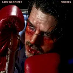 Bruises by Cary Brothers